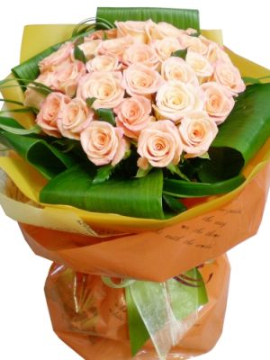 Can you hear my heart