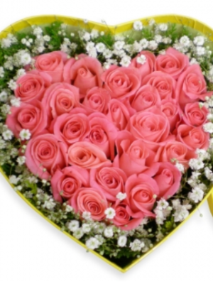 Apricot scent for you