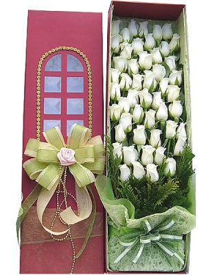 Box of 60 white roses