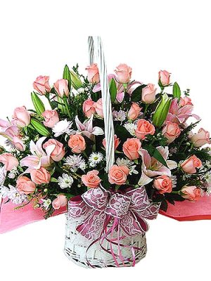 I want to try to seduce