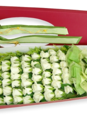 70 roses+green material