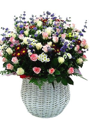 Pyeongchang Dong Mana-sama