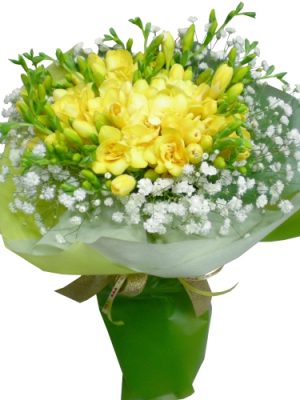 FREEZIA+SEASONAL FLOWER+GREEN MATERIAL