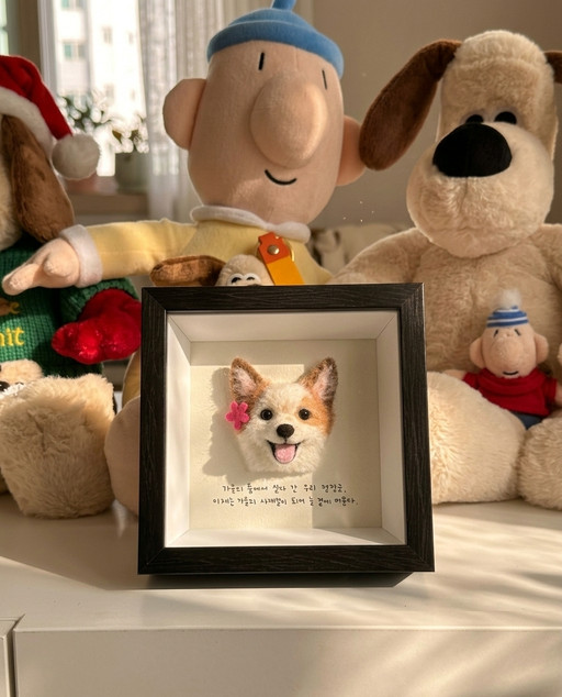 dog cat hamster character picture frame pet