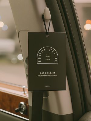 1+1 perfumer also fell in love with 🚘 Car solid air freshener scent+deodorizer