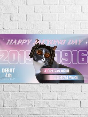 Idol banner photo zone