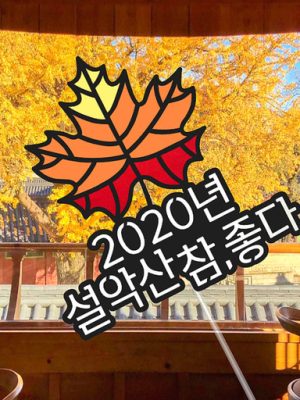 🍁 Autumn leaf topper 🍁 A must-have item to commemorate fall foliage trips and mountaineering