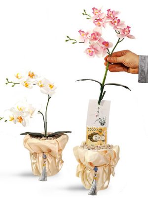 A lucky pocket money box gift for drawing money, a birthday event for parents