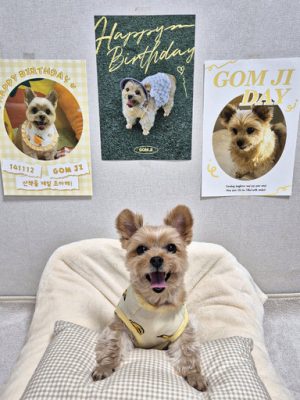 Rona Party birthday poster self made photo baby anniversary