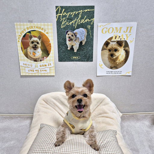 Rona Party birthday poster self made photo baby anniversary