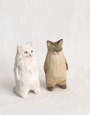 😍 Let's go anywhere together, kitty 🐾