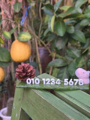 Parking license plate (capybara ver)