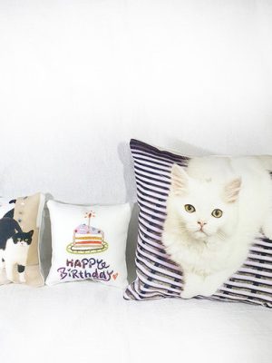[3 types] Customized photo mini cushion made in small quantities