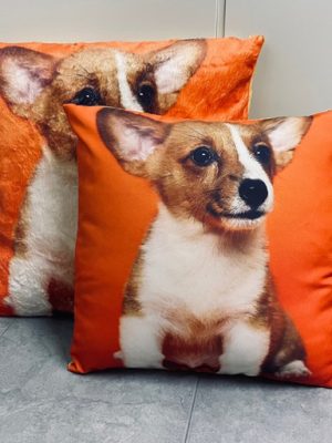 Photo photo image cushion production