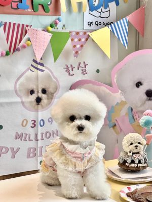 custom cotton pet birthday banner fabric poster ❤️ birthday party