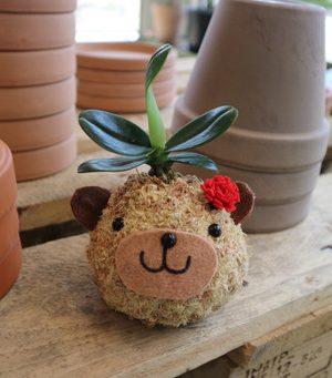 Carnation flower topiary 🌺 fresh flower