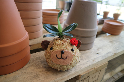 Carnation flower topiary ๐บ fresh flower