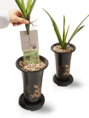 💰 Orchid Pocket Money Box Birthday Gift for Parents