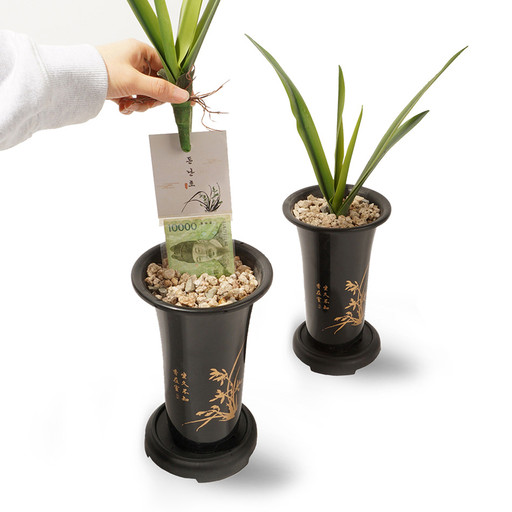 π° Orchid Pocket Money Box Birthday Gift for Parents