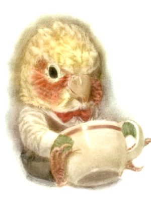 I'll draw my parrot 💌 (pet 🦜)