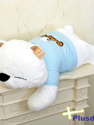 Teddy Bear Cushion